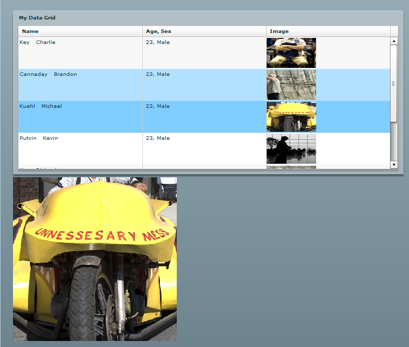 Data Grid, XML, Images